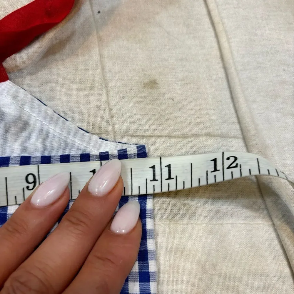 Dog Size‎ Medium Blue and White Gingham Dress With Red Details